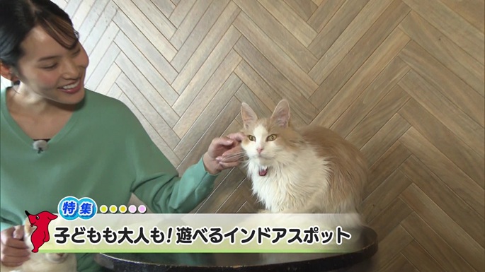 令和8年2月28日放送分(特別番組)「子どもも大人も！遊べるインドアスポット」／ウィークリー千葉県