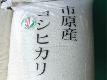 市原市産のコシヒカリの画像