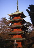 中山法華経寺の伽藍