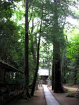 鎌ケ谷市内の社叢林・八幡春日神社と根頭神社の森