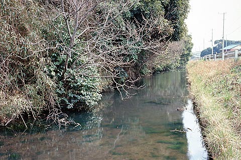 飯野陣屋濠跡2