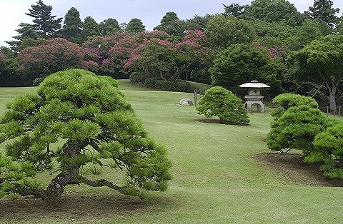 旧堀田正倫別邸庭園の園内の様子