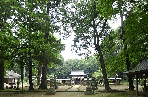 小御門神社の森／千葉県