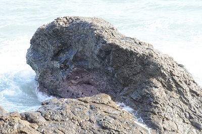 鴨川の枕状溶岩3
