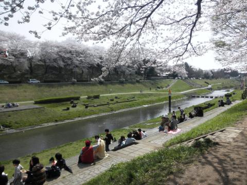 利根運河の写真