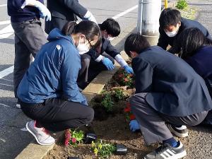 ＪＲ佐倉駅南口前の花壇の手入れをしている様子