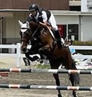 馬術（少年）の競技中の写真