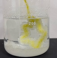 ミョウバンを溶かしたお湯にモールを吊るし結晶ができる様子を観察している写真