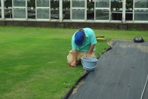 手作業で雑草を取り除いている写真