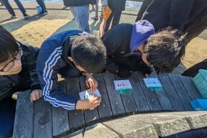 水の色の変化を確認している写真