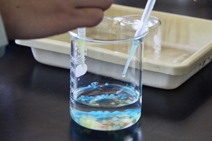 生徒がスポイトを使って塩化カルシウム水溶液の中にアルギン酸ナトリウム溶液を垂らしている手元の写真