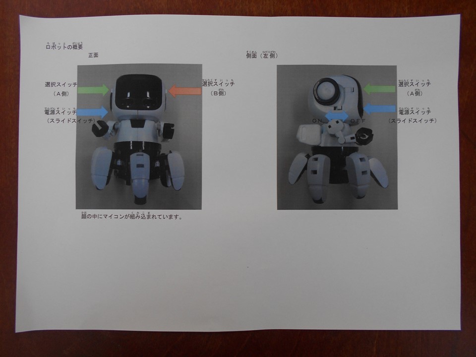 推進校の生徒たちが作成した資料