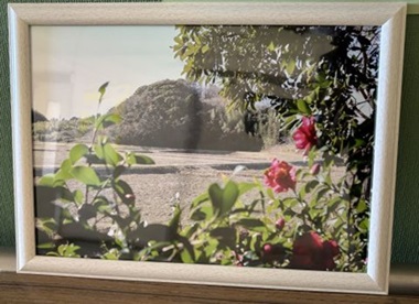 香取特支作品冬の田畑