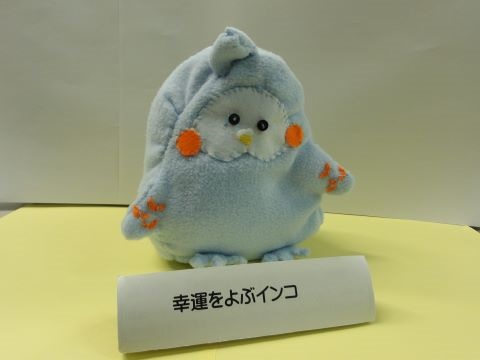 令和7年市原特支インコ