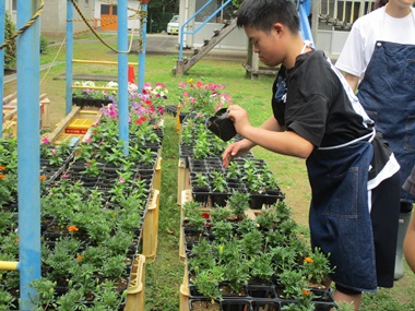 生徒が花苗を植えている様子