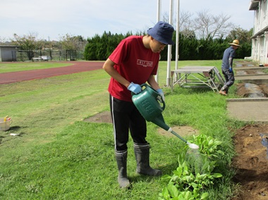 生徒が野菜に水やりをしている様子