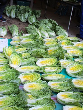 夷隅特支作品野菜白菜