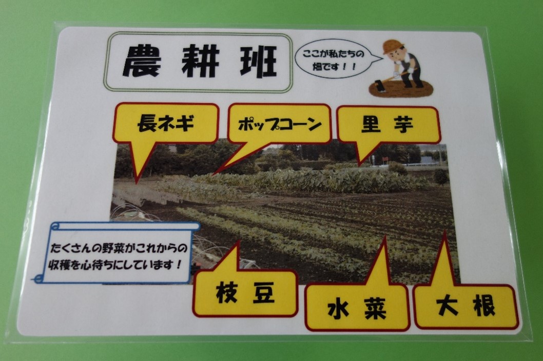 農耕班画像1