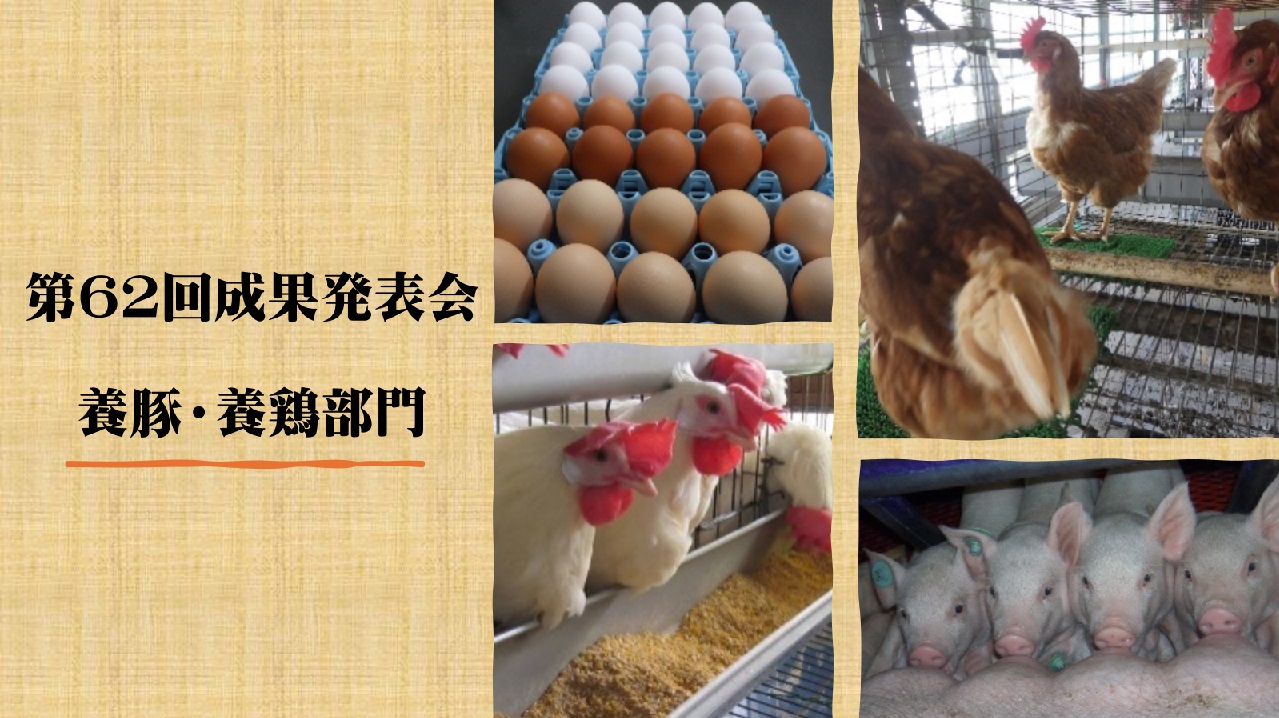養豚・養鶏部門の動画はここをクリック