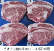 ビオチン枝肉断面