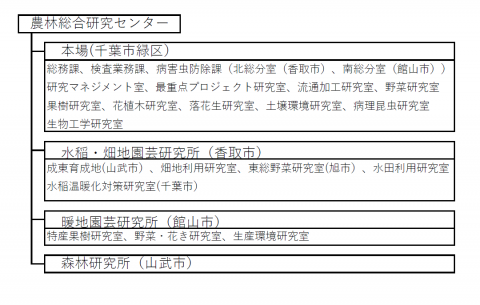 組織図