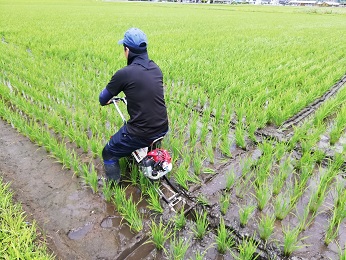 溝切り作業の様子