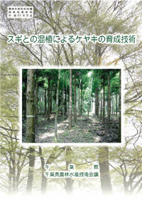 スギとの混植によるケヤキの育成技術