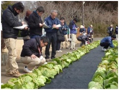 厳しい審査を経て生み出される品種や技術