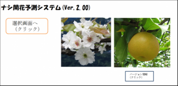 ナシ開花予測システムの画面