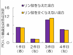 販売可能なトマトの収穫量