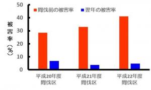 間伐と同時に被害木の伐採搬出を行った場合の被害率の変化