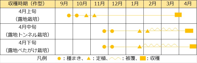 春どりブロッコリーの栽培暦