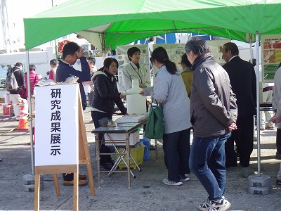 研究成果展示でギマを試食しています