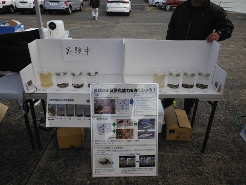 貝類の水質浄化実験ブースの写真