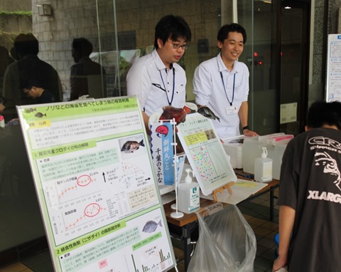植食性魚類の有効利用
