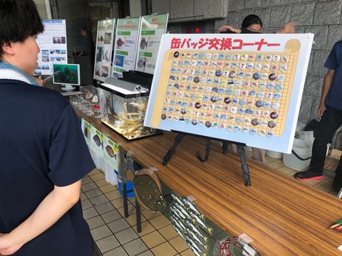 缶バッジクイズ