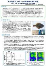 東京湾産マコガレイの資源の増大対策の考案