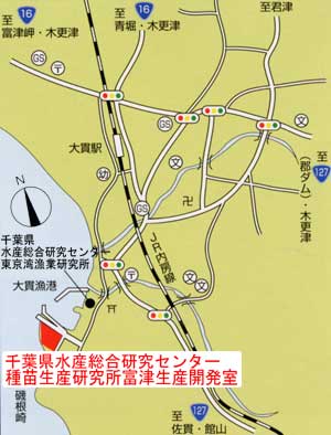 種苗生産研究所富津生産開発室所在地図（近隣図）