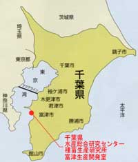 種苗生産研究所富津生産開発室所在地図（千葉県全体図）