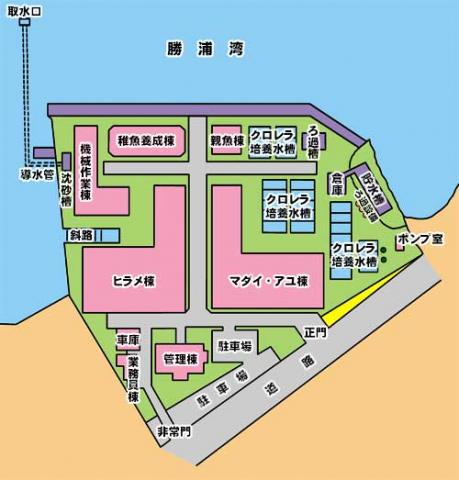施設配置図
