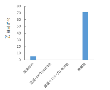 温湯消毒、微生物農薬の防除効果