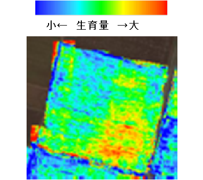 写真4色分け