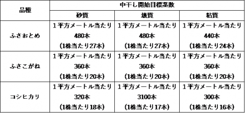 表1中干し