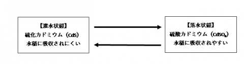 図1カドミウム