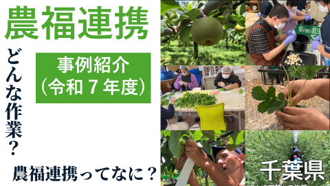 農福連携紹介動画サムネイル