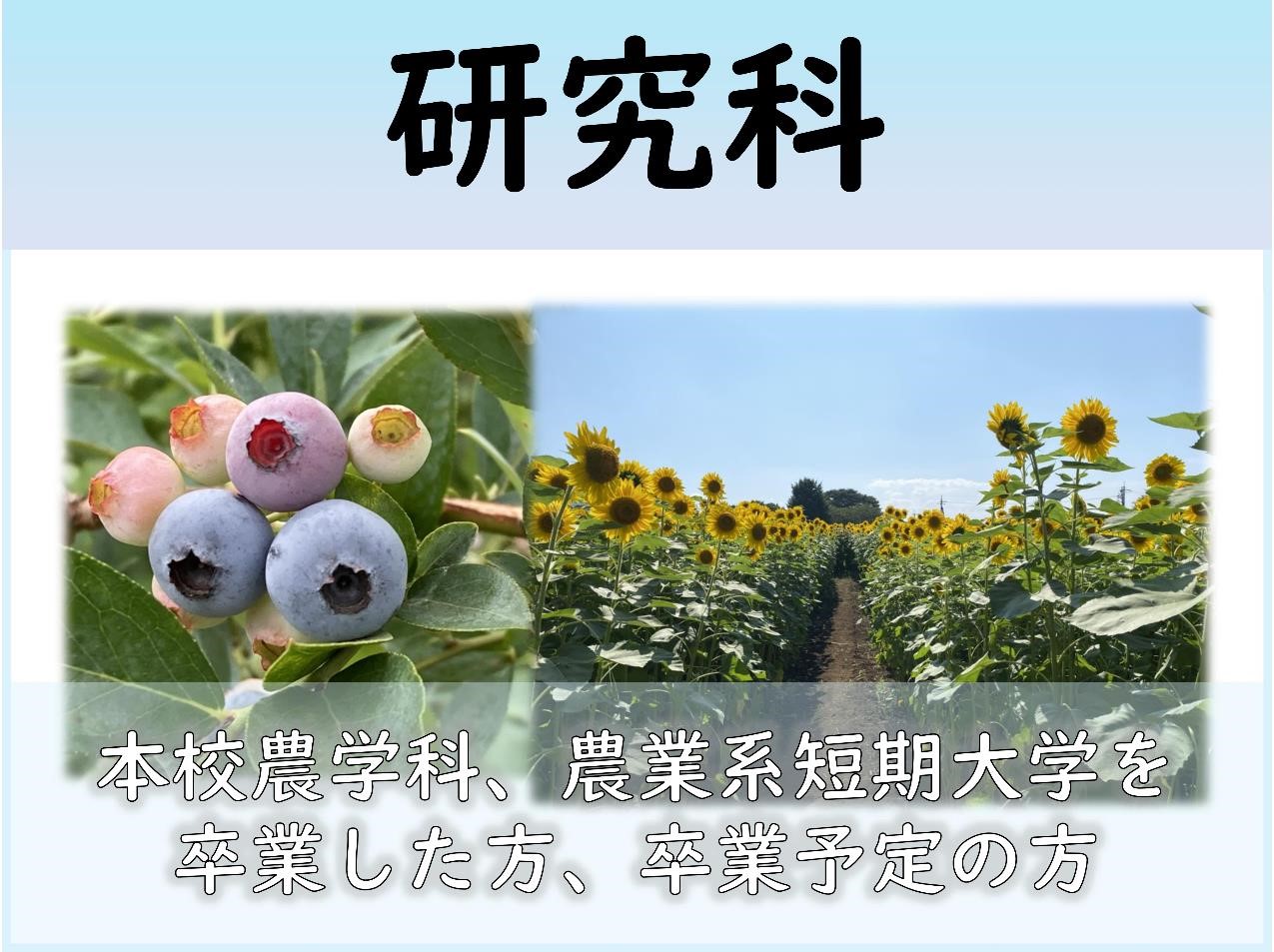研究科