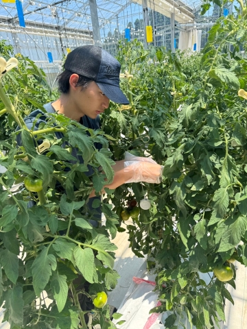 施設野菜専攻教室1
