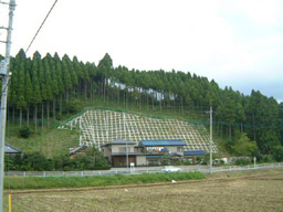 土砂崩壊防備保安林イメージ