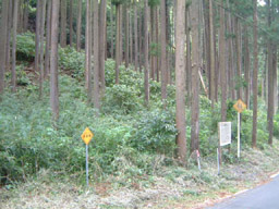 水源かん養保安林イメージ1