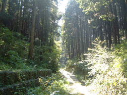 土砂流出防備保安林イメージ